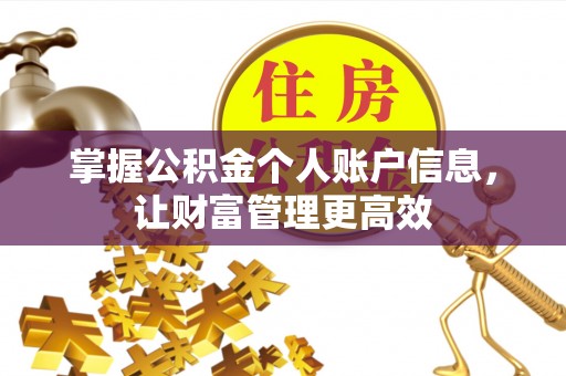 阿鲁科尔沁旗掌握公积金个人账户信息，让财富管理更高效