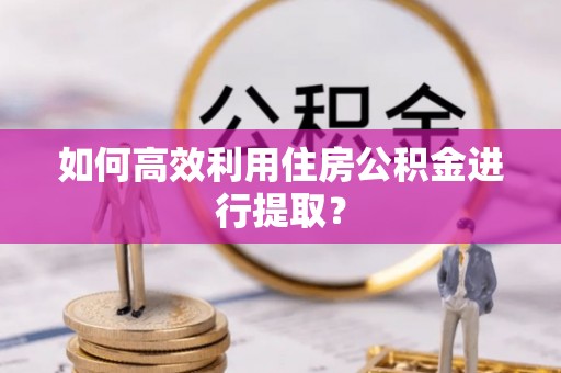 阿鲁科尔沁旗如何高效利用住房公积金进行提取？