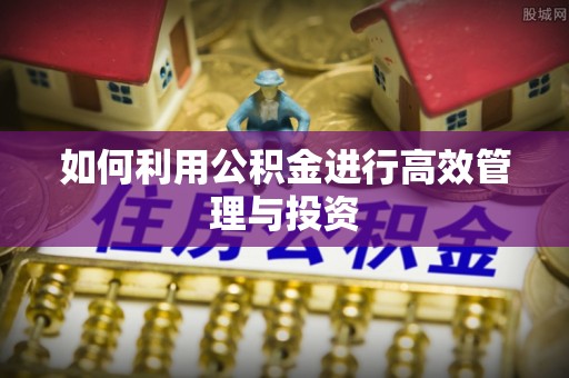 阿鲁科尔沁旗如何利用公积金进行高效管理与投资