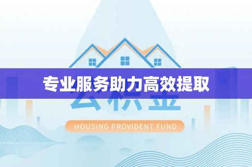 阿鲁科尔沁旗专业服务助力高效提取
