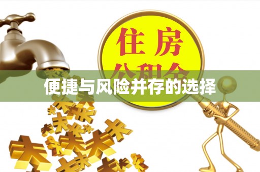 阿鲁科尔沁旗便捷与风险并存的选择
